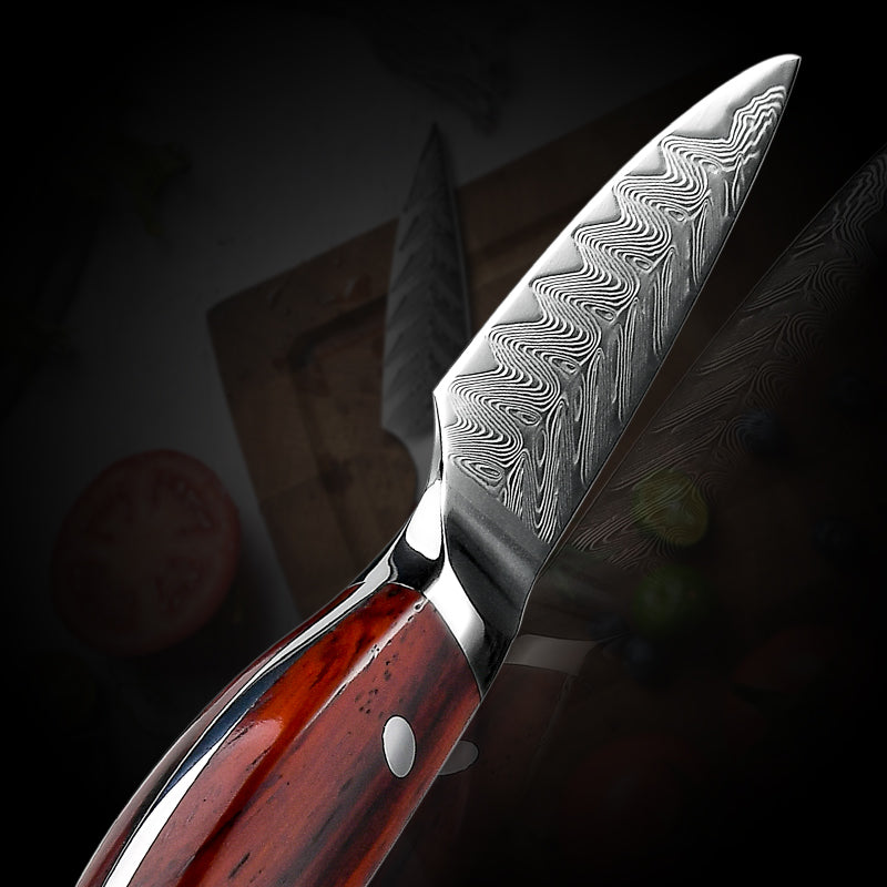 TRUCHA ARCO - Cuchillo Puntilla Damasco 67 capas 10 cm PATAGÓN