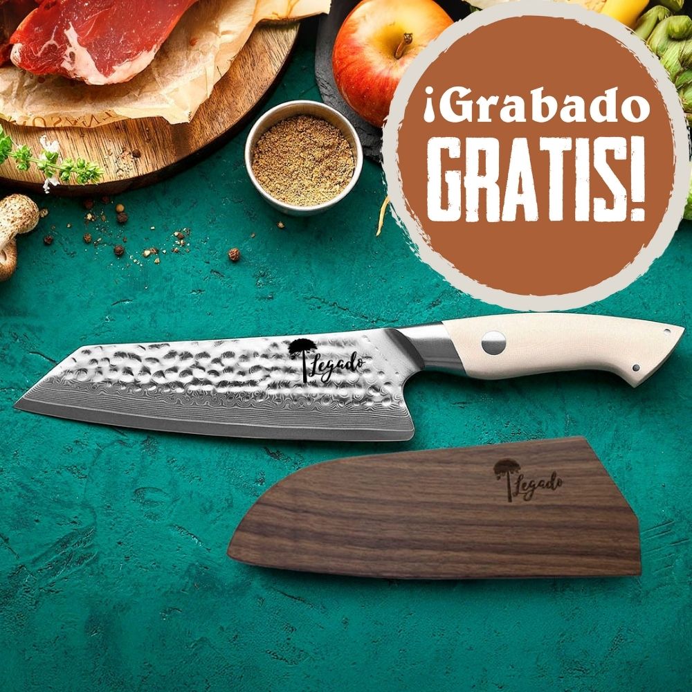 NEVADO - Cuchillo Kiritsuke Damasco 67 capas hoja 18 cm LEGADO