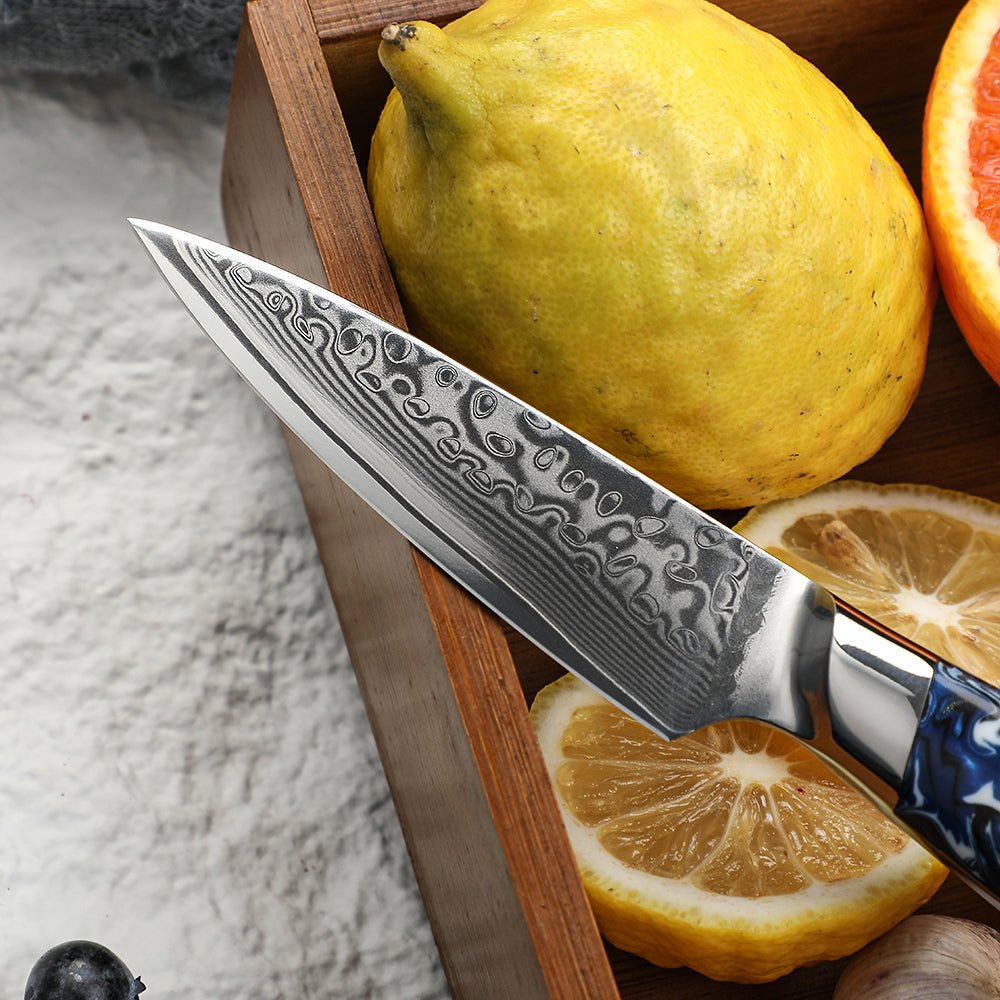 GLACIAR - Cuchillo Petty Patagon Damasco 67 capas hoja 10 cm PATAGÓN