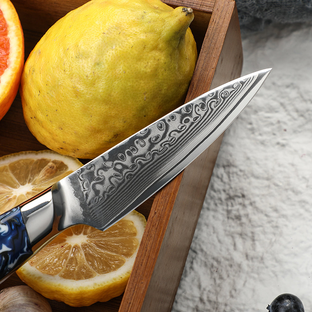 GLACIAR - Cuchillo Petty Patagon Damasco 67 capas hoja 10 cm PATAGÓN - Cuchillos Mundo Patagon