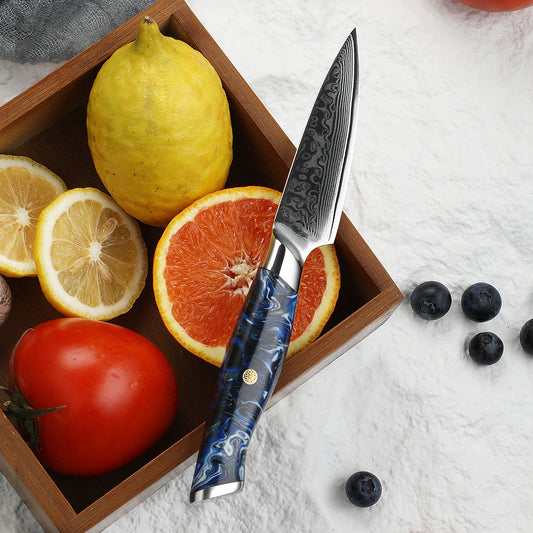 GLACIAR - Cuchillo Petty Patagon Damasco 67 capas hoja 10 cm PATAGÓN - Cuchillos Mundo Patagon