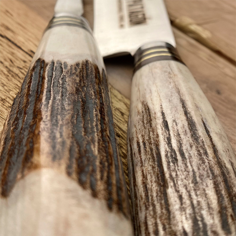 GAUCHO - Set Verijero Parrillero Artesanal Asta Ciervo 20 cm PATAGÓN - Cuchillos Mundo Patagon