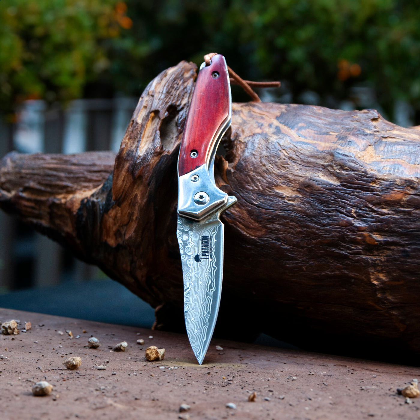 CAIMÁN - Cortapluma Damasco 89 capas PATAGÓN - Cuchillos Mundo Patagon