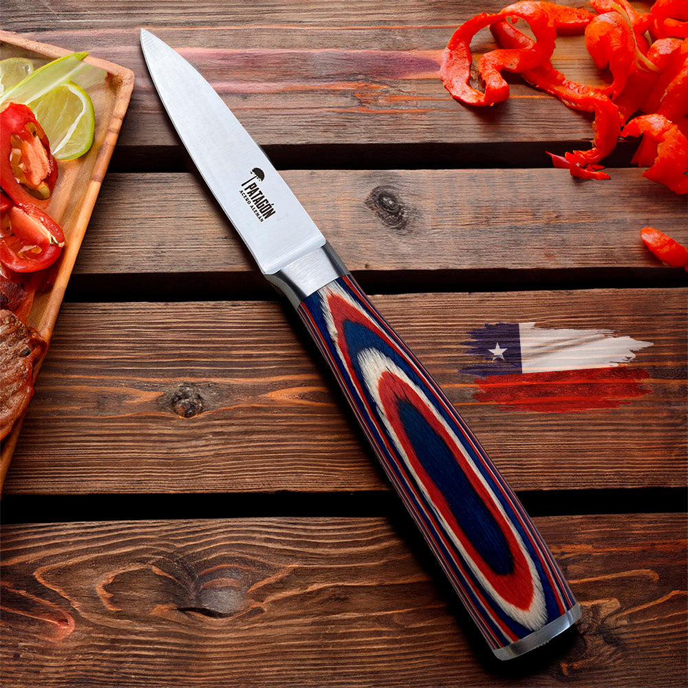 VIVA CHILE! - Cuchillo puntilla Acero Alemán Hoja 10 cm PATAGÓN